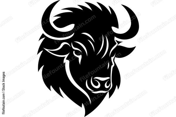 Bison