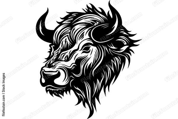 Bison