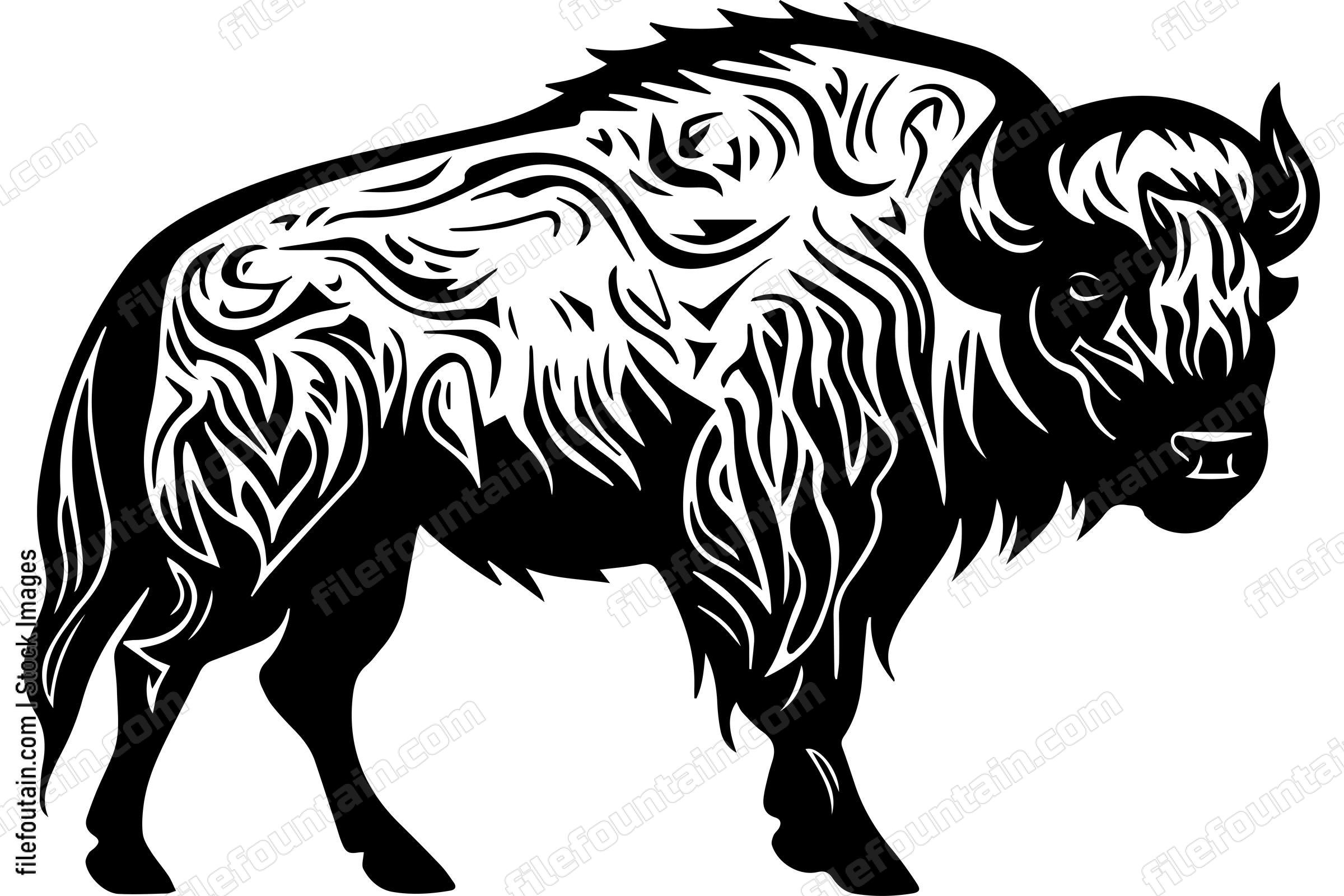 Bison