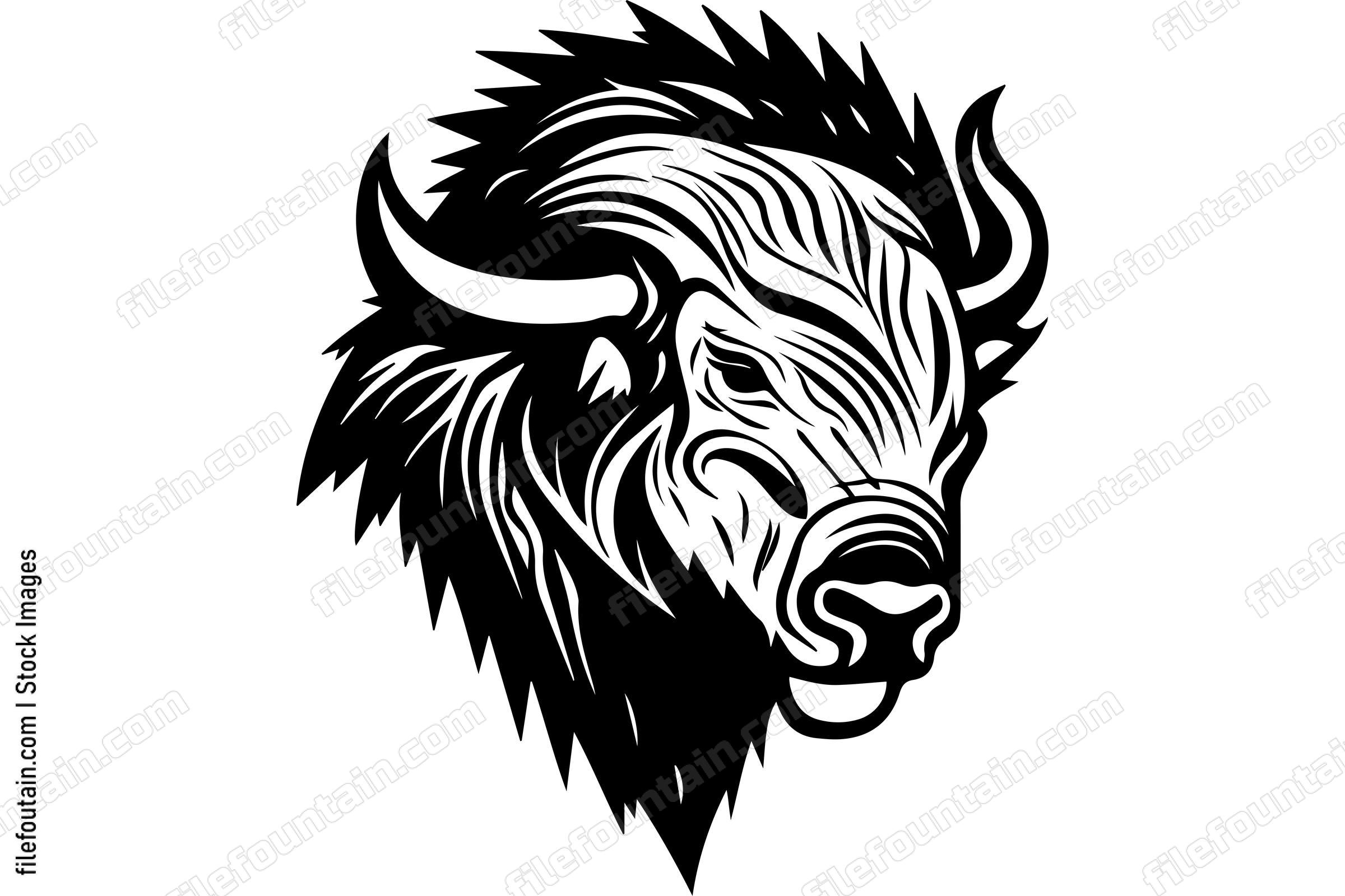 Bison