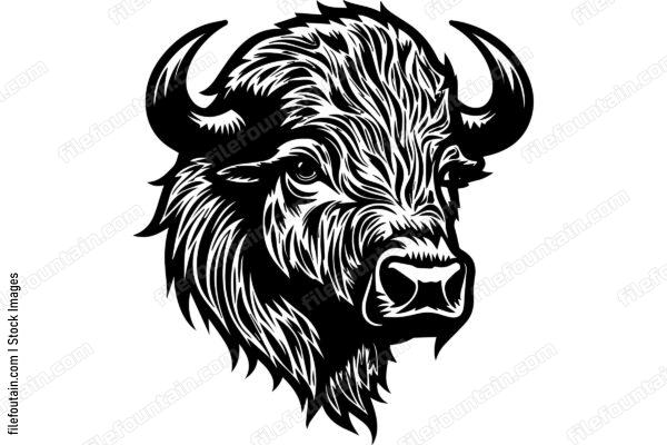 Bison