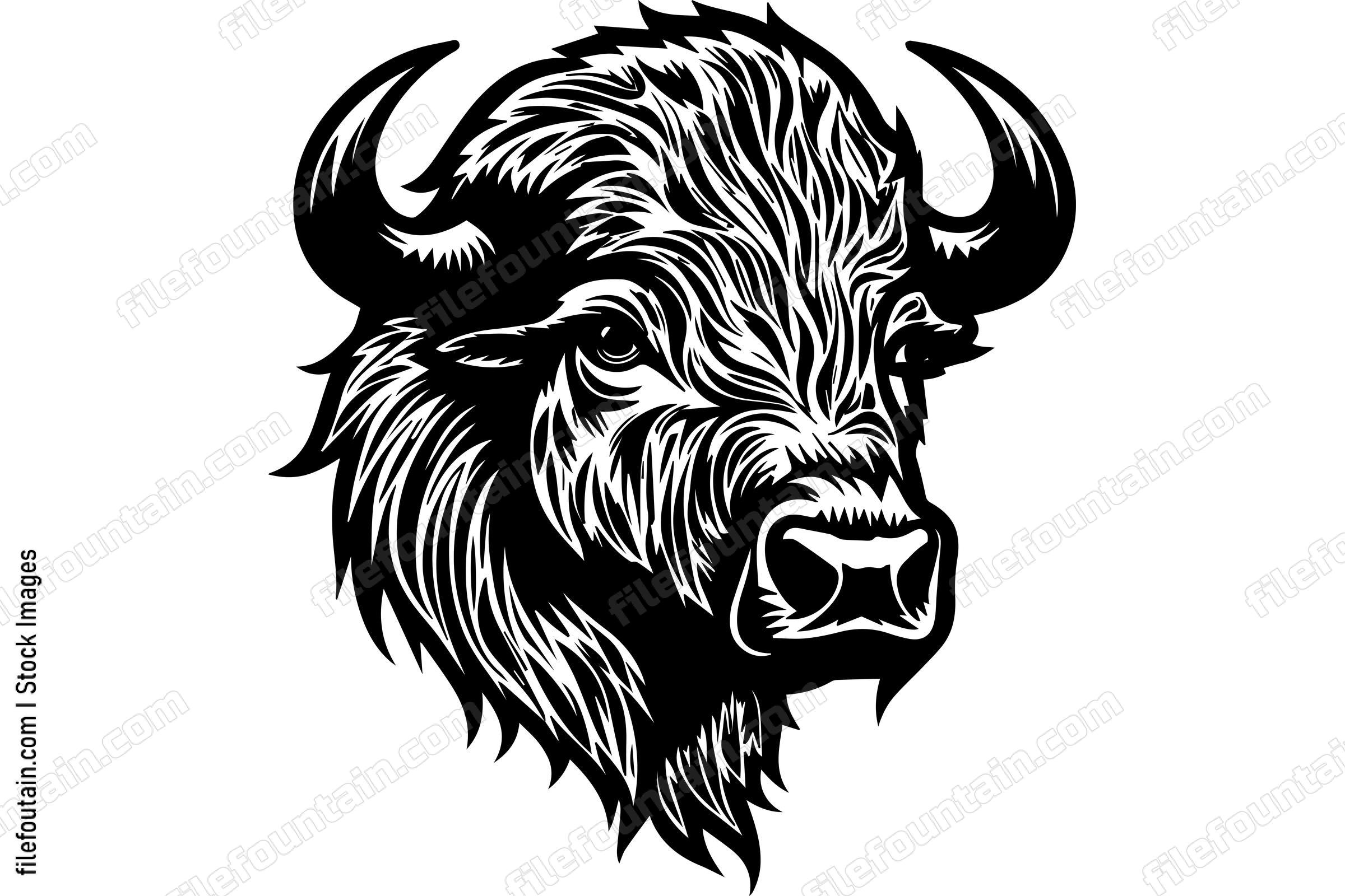 Bison