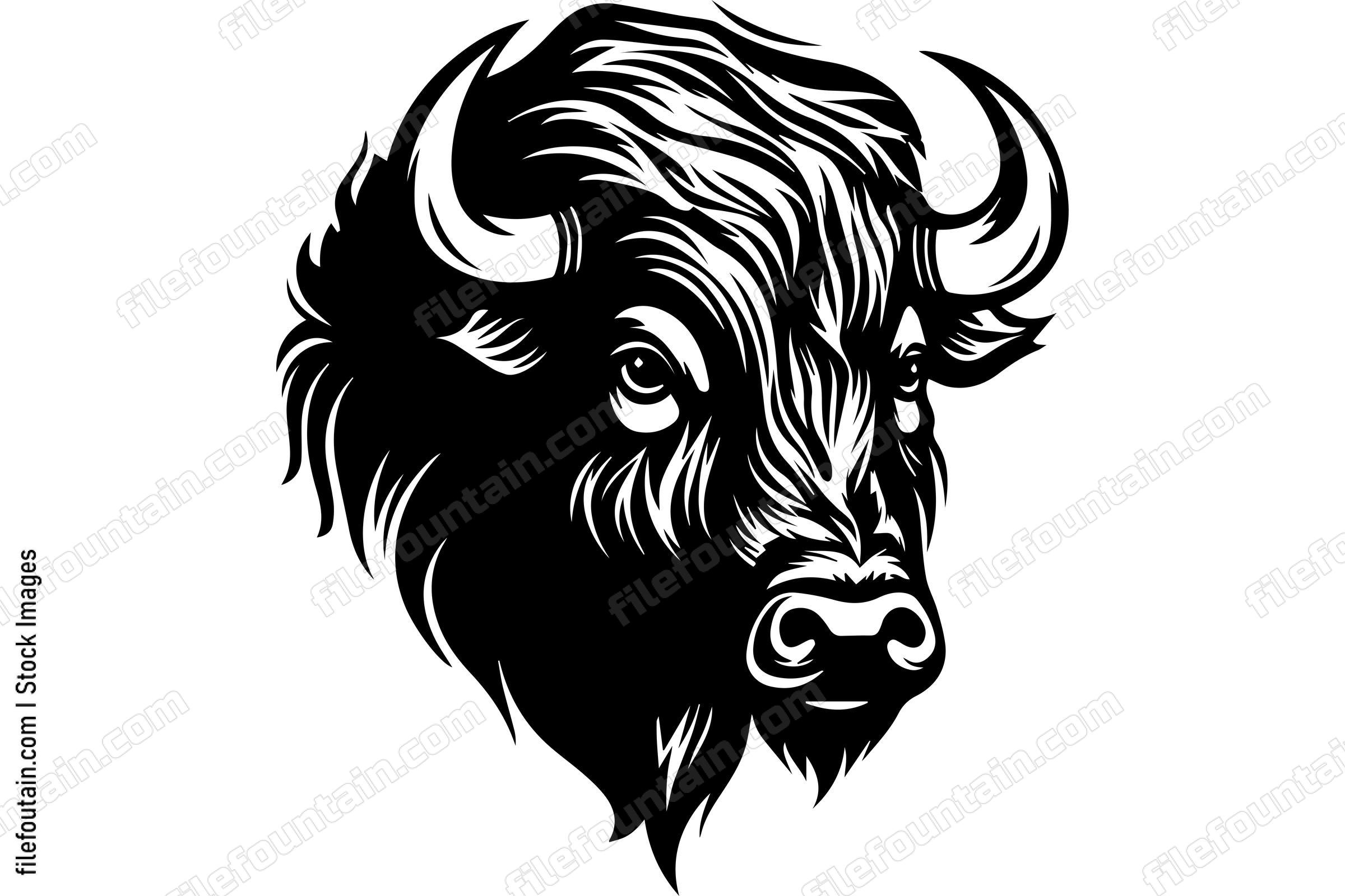 Bison