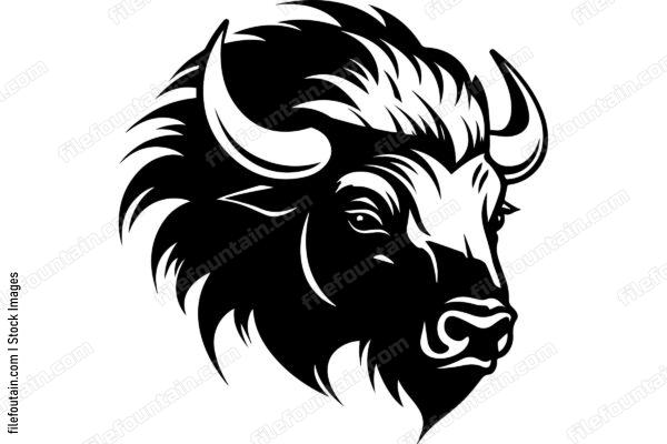 Bison