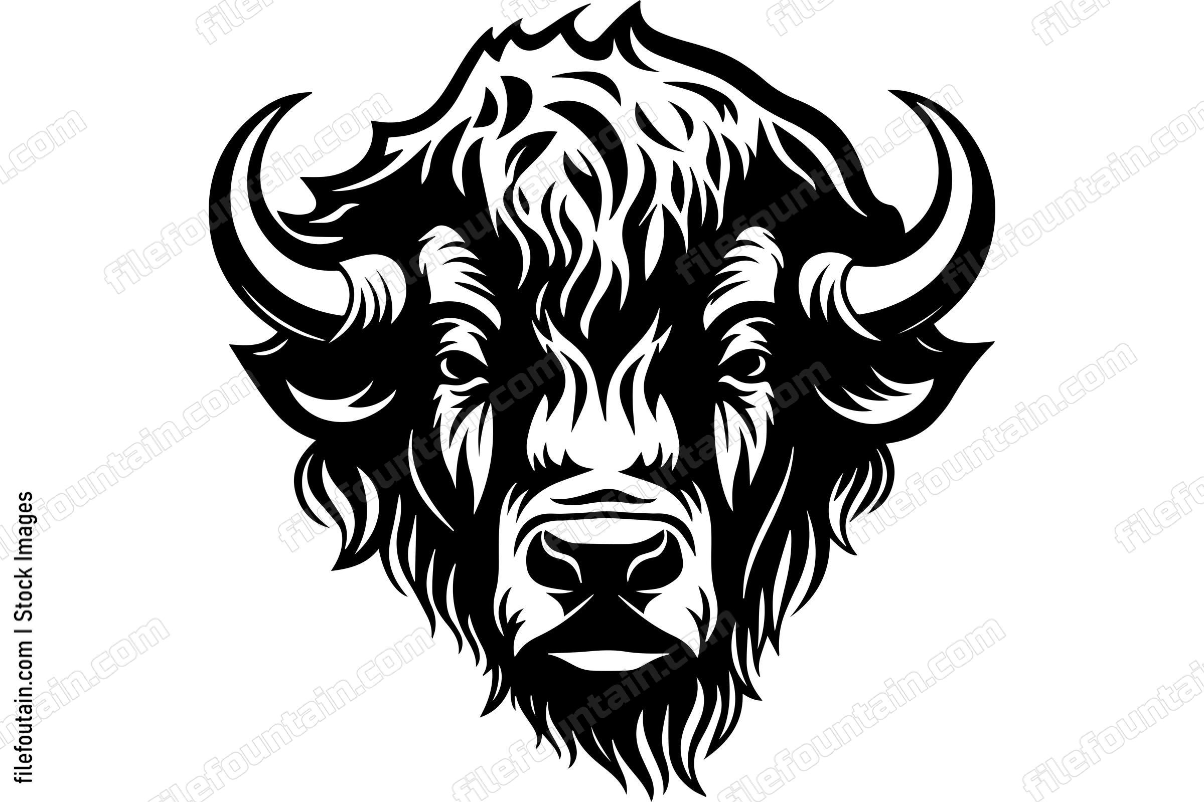 Bison