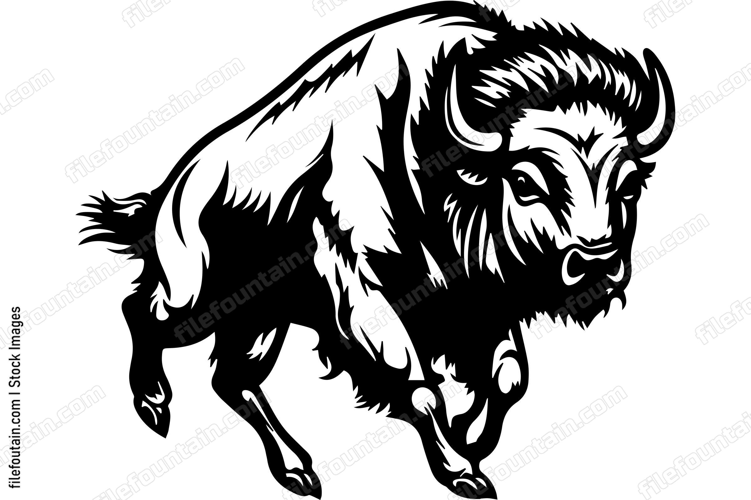 Bison