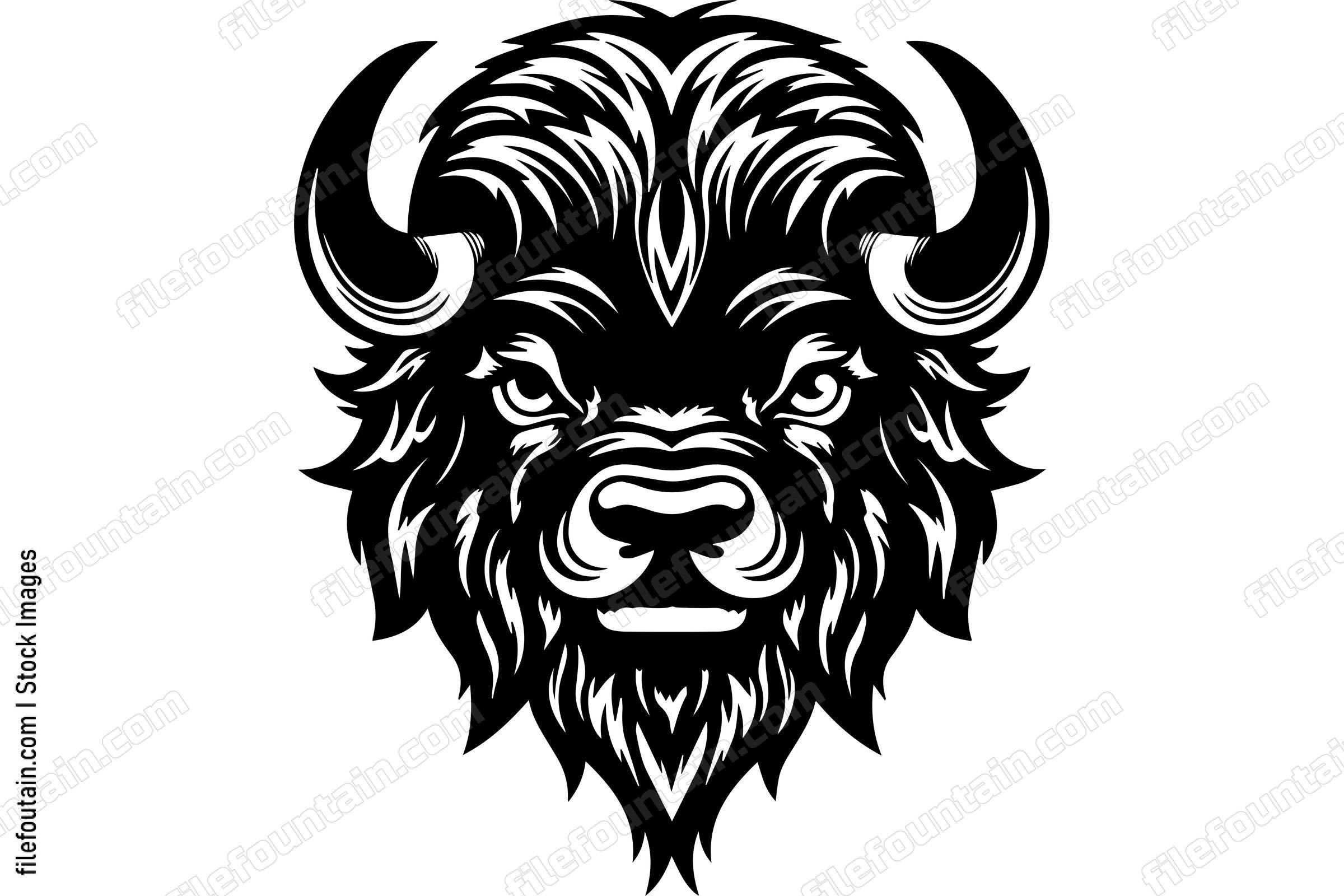 Bison
