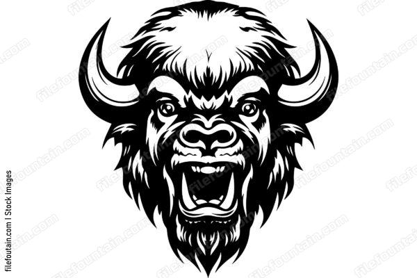 Bison