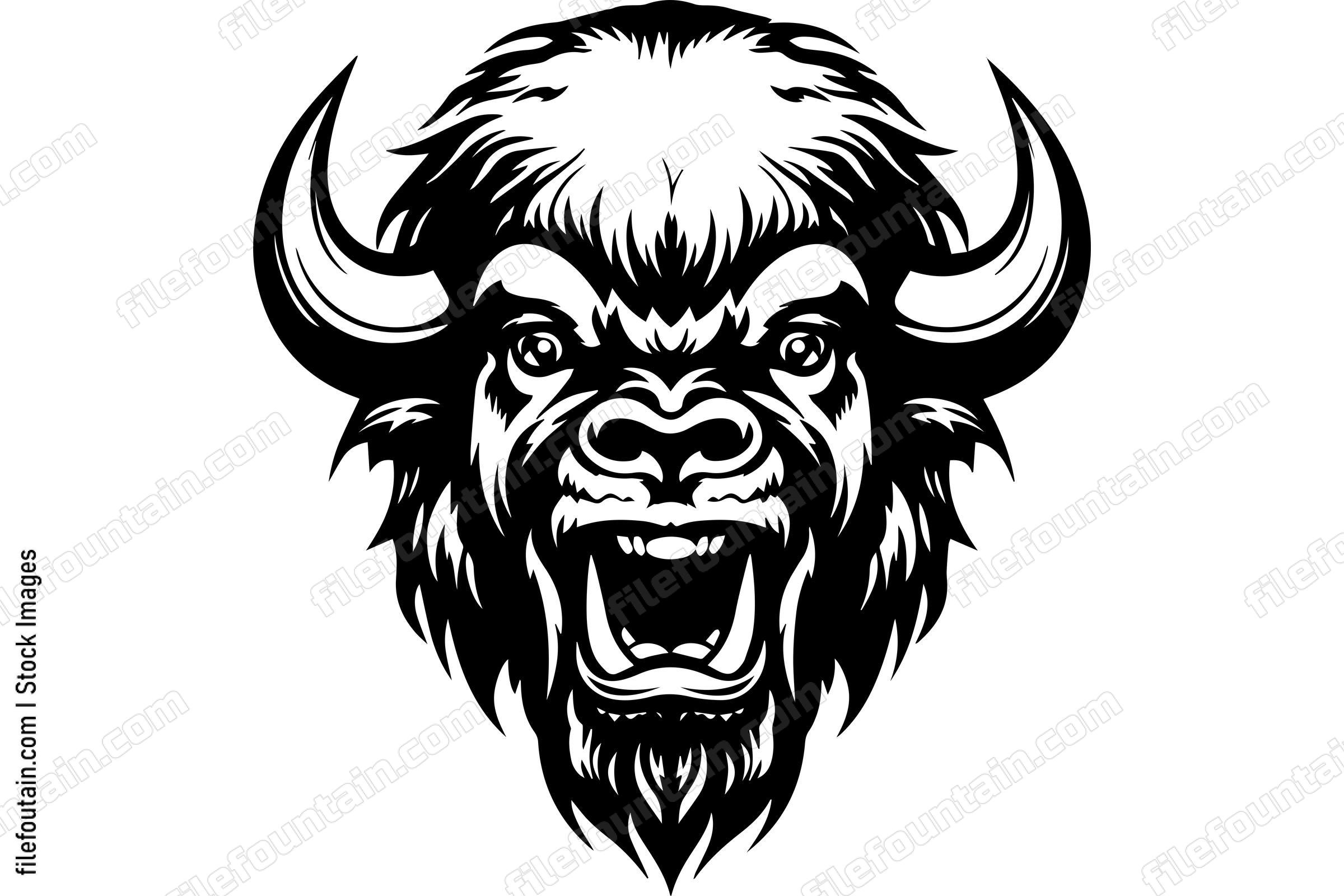 Bison