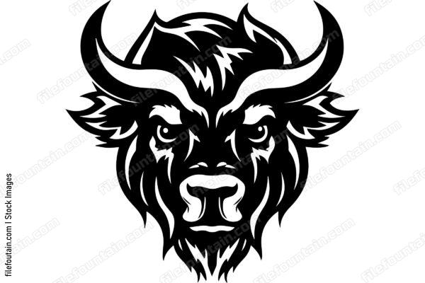 Bison