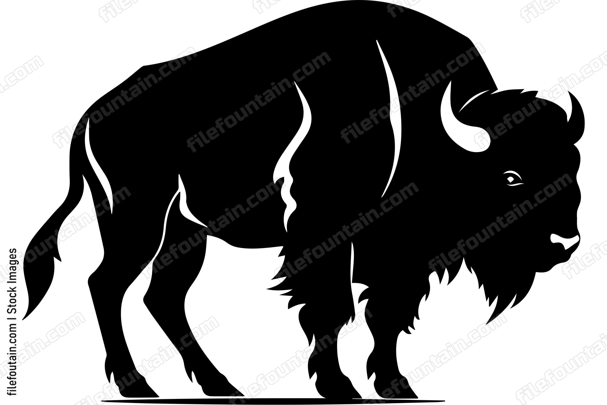 Bison