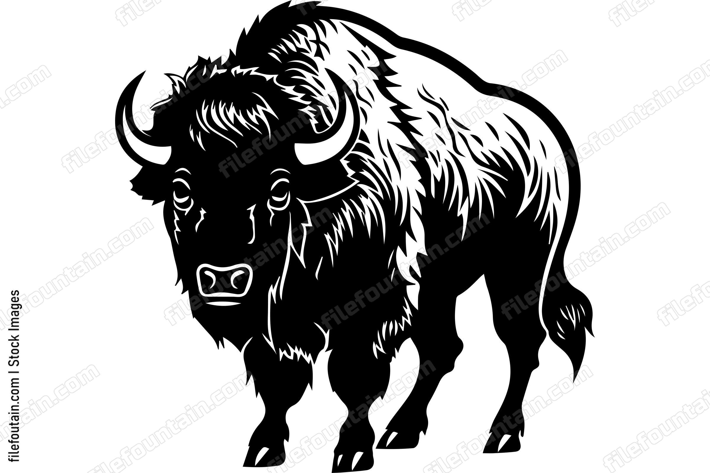 Bison