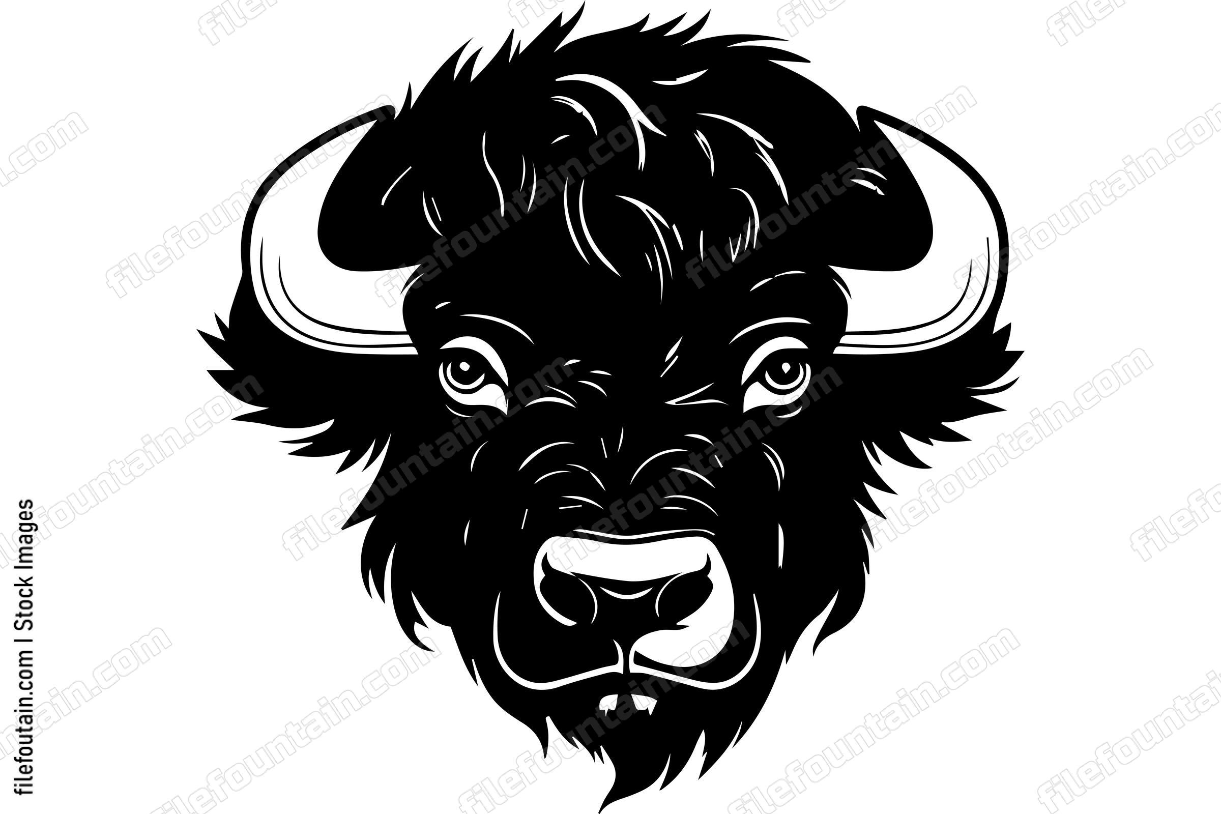 Bison