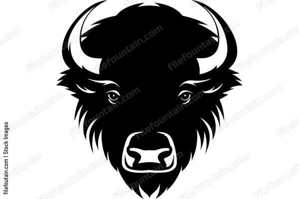Bison