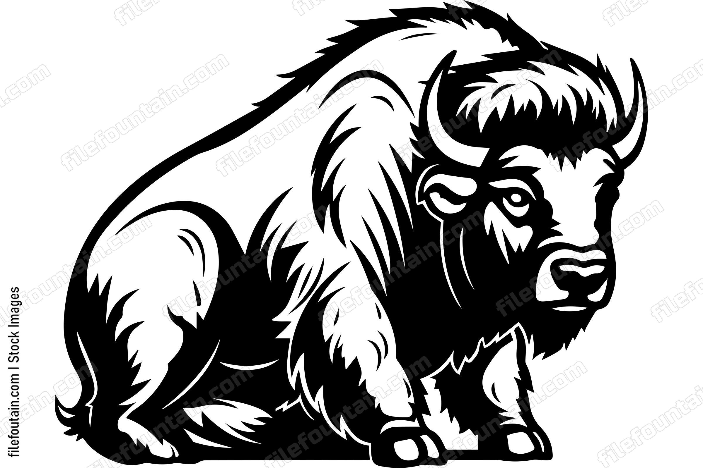 Bison