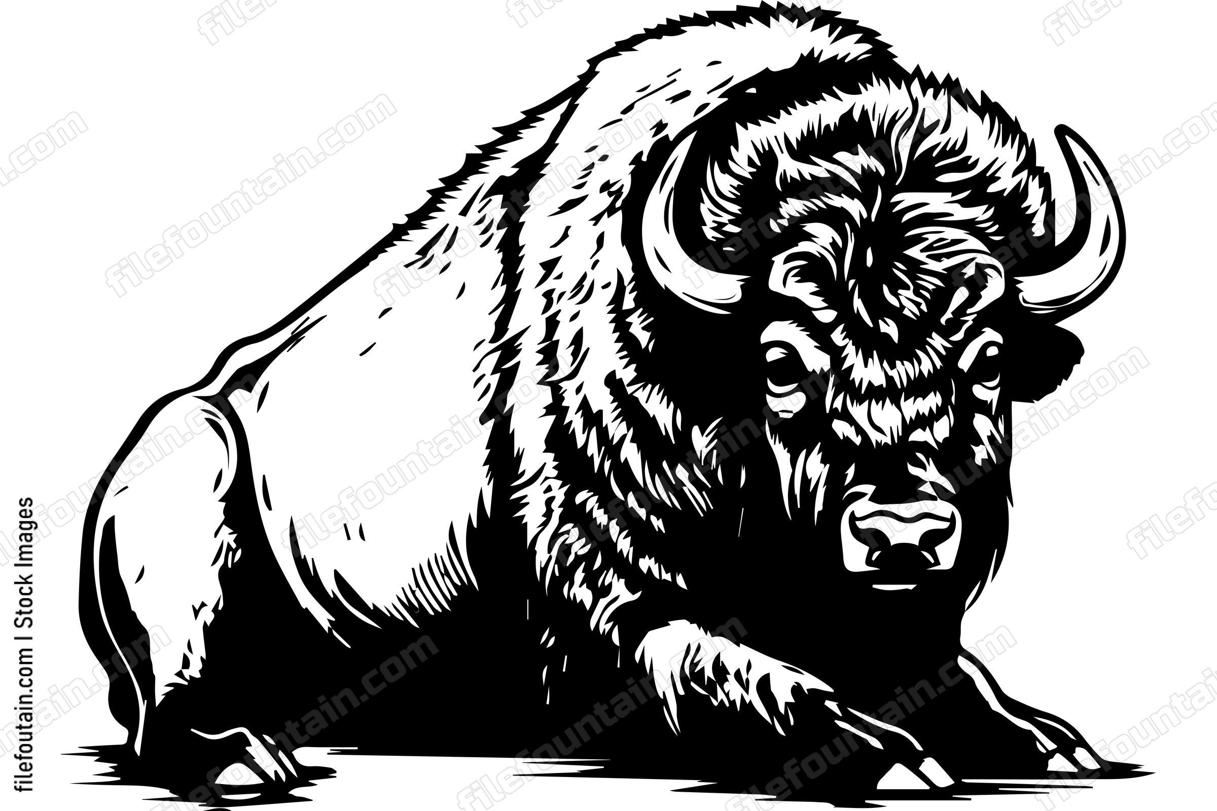 Bison