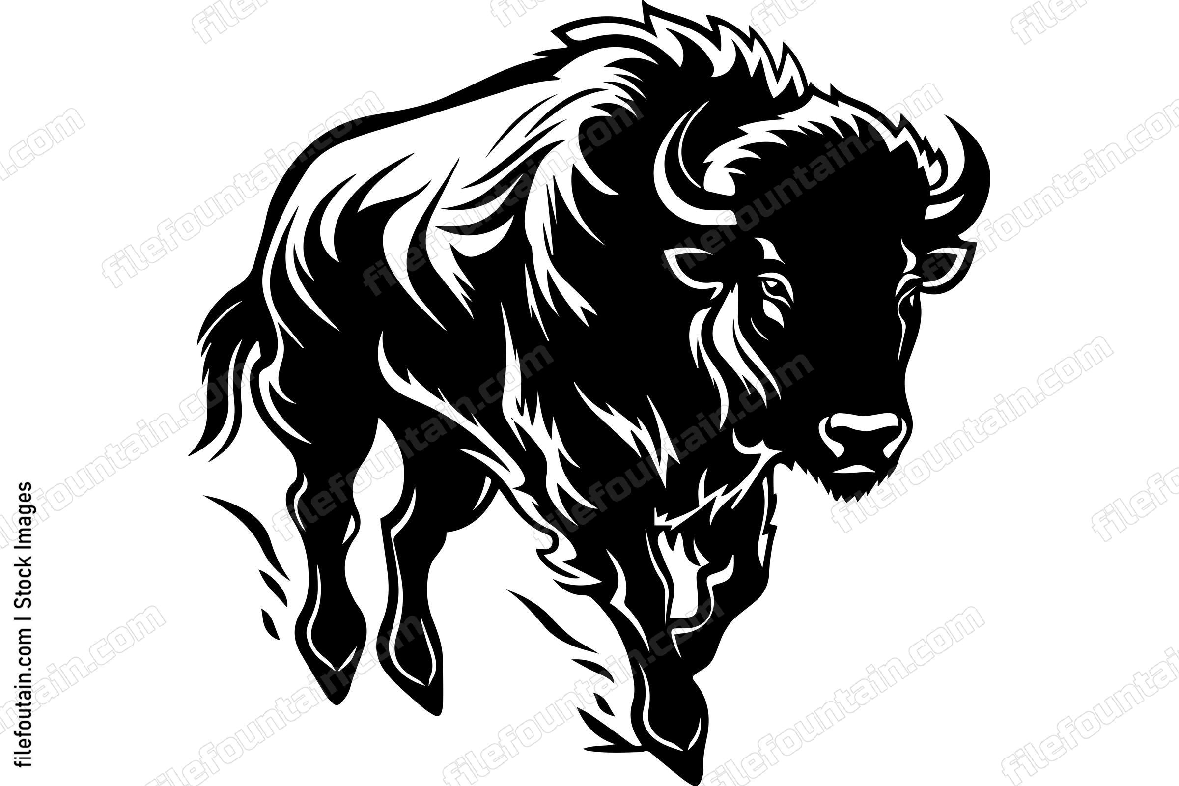 Bison