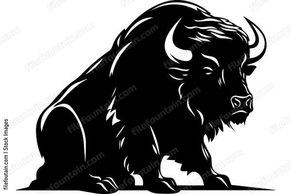 Bison