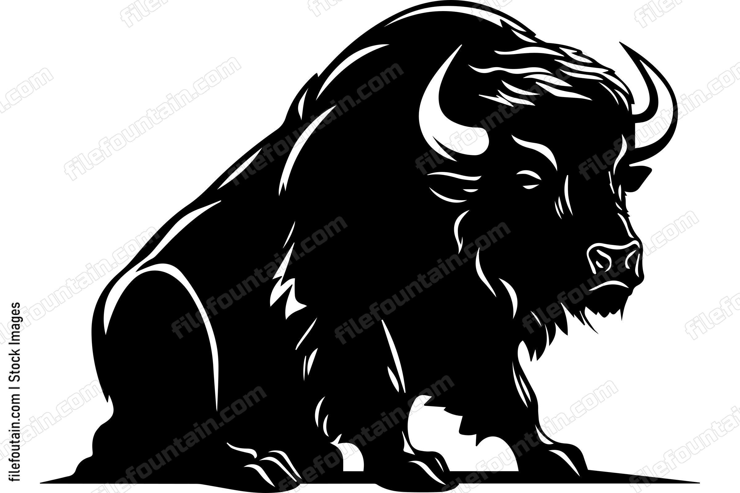 Bison