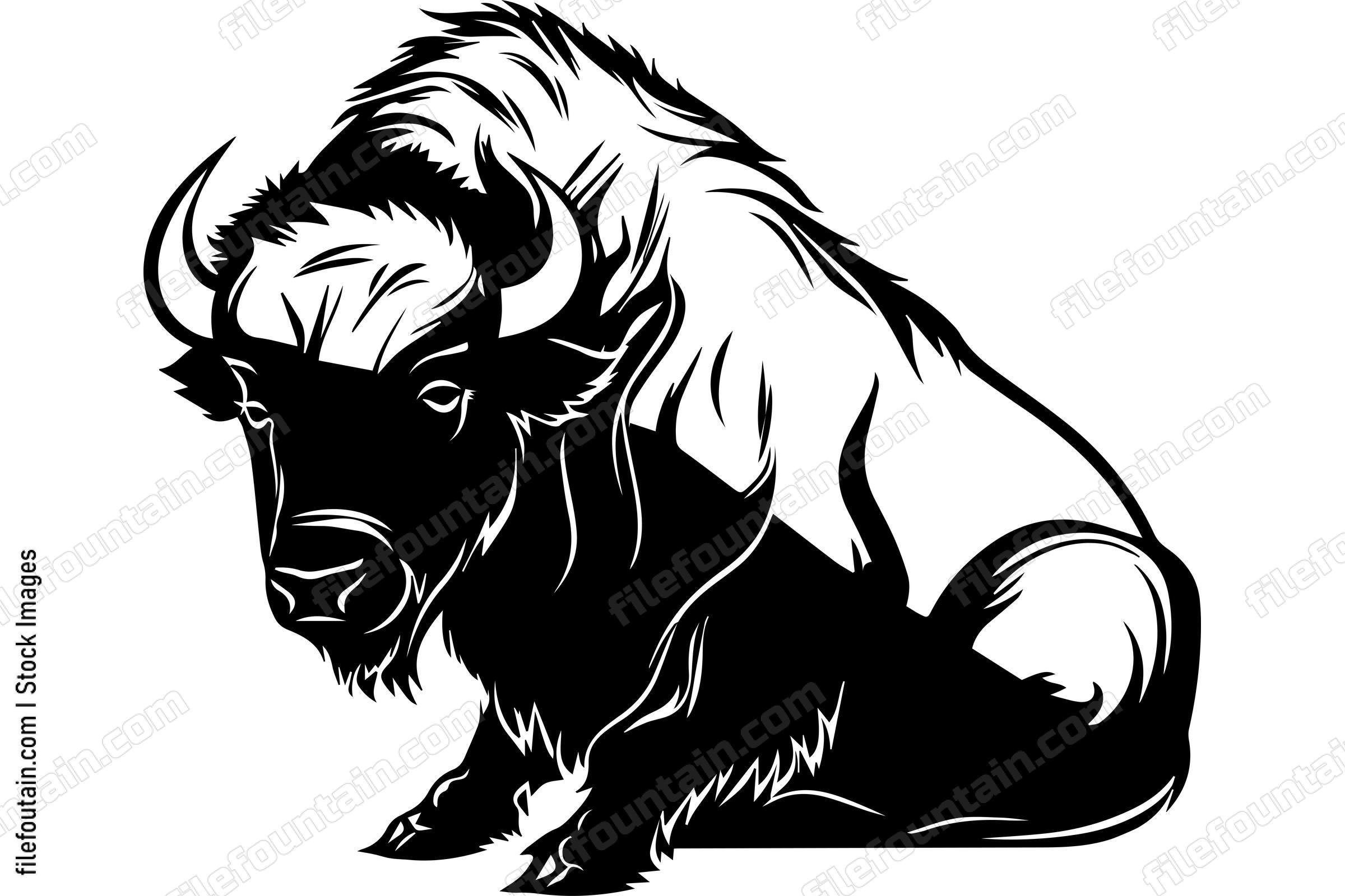 Bison