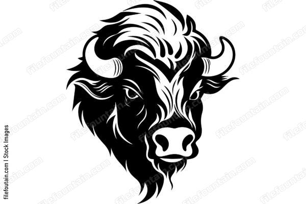 Bison