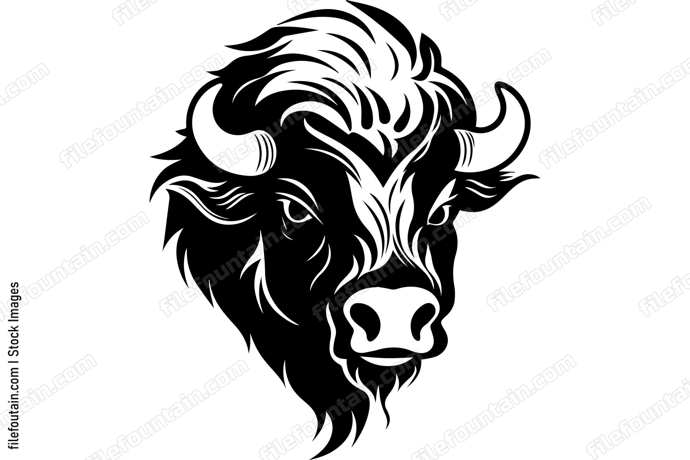 Bison