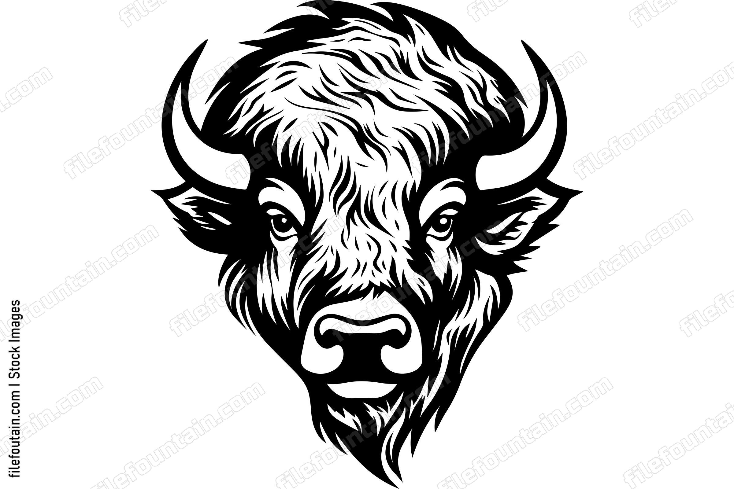 Bison