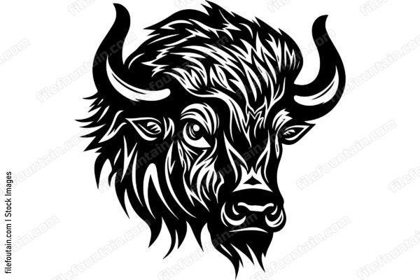 Bison