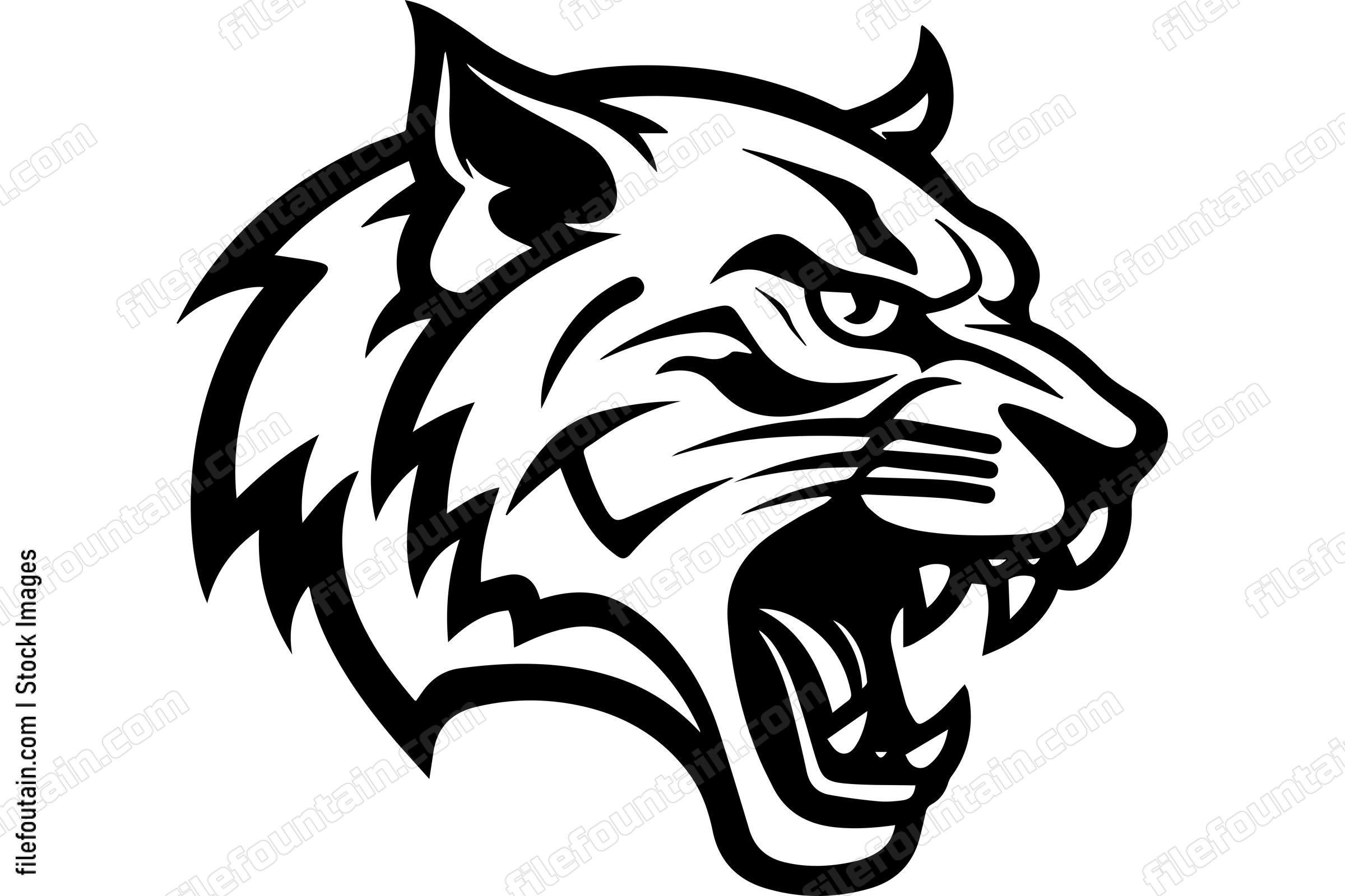 Bobcat
