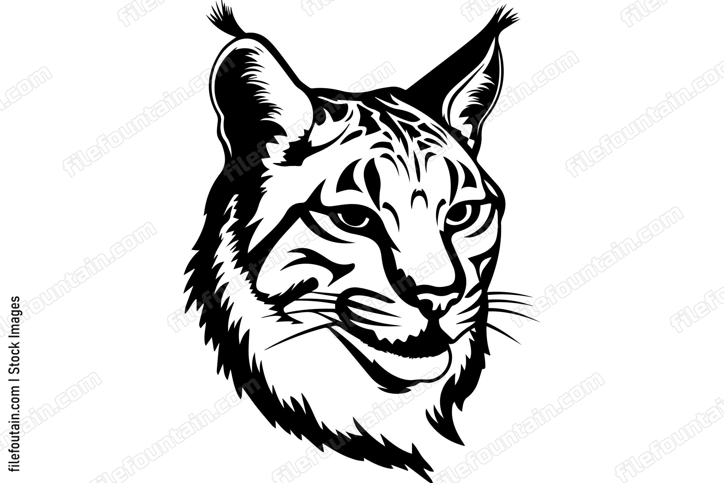 Bobcat