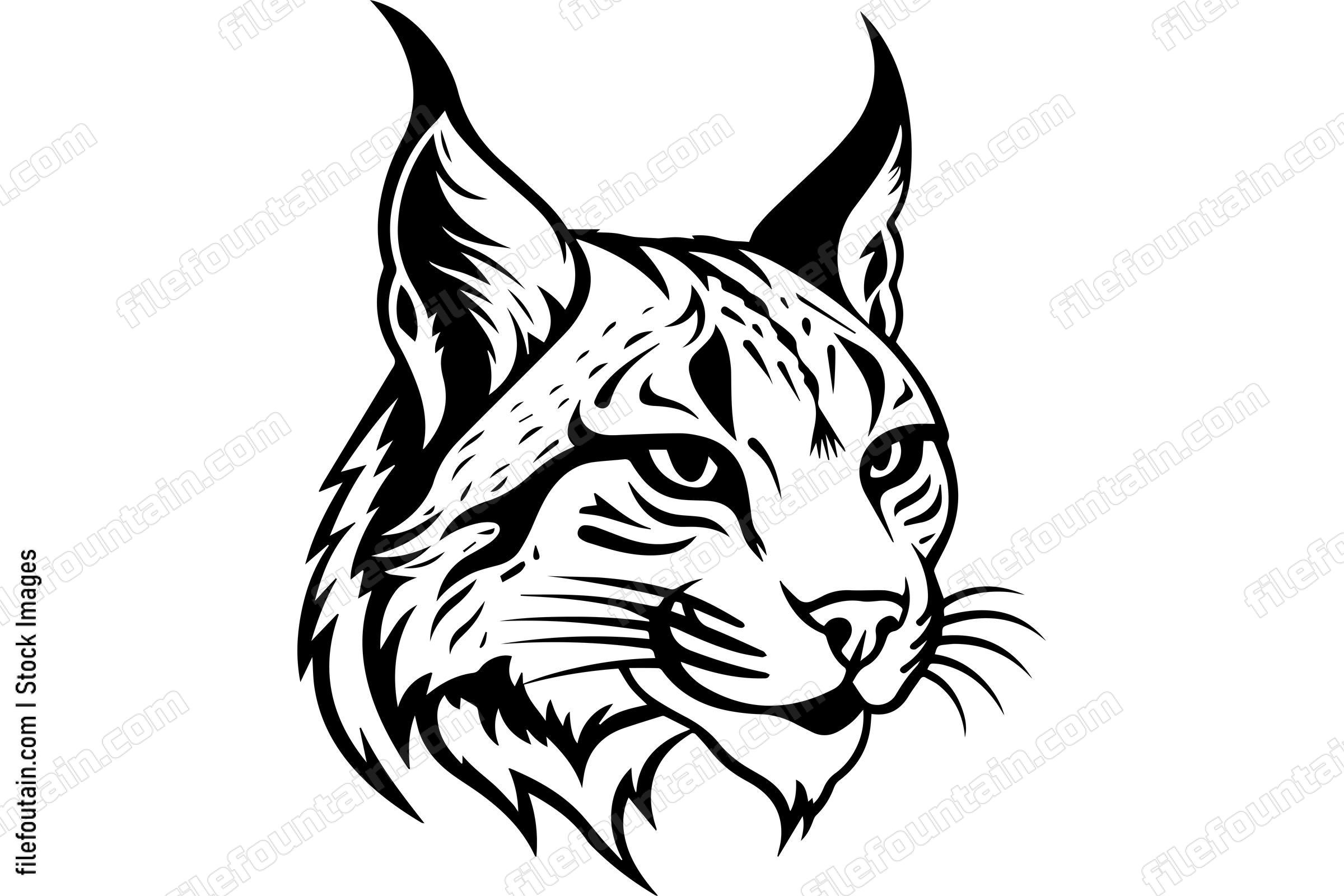Bobcat