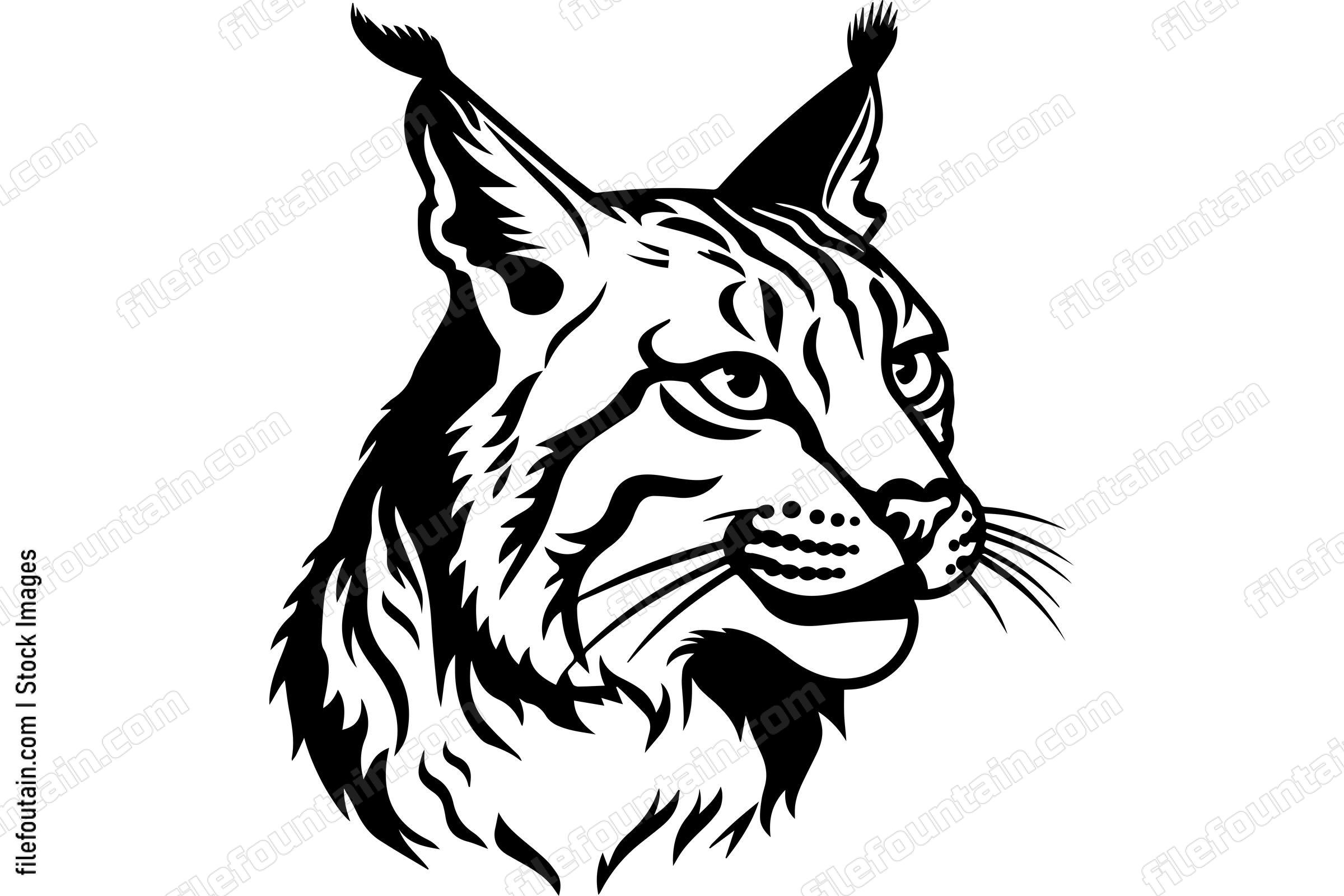 Bobcat
