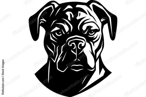 Boxer