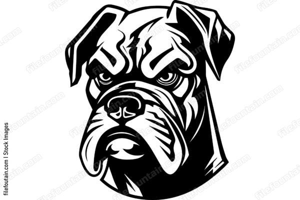 Boxer