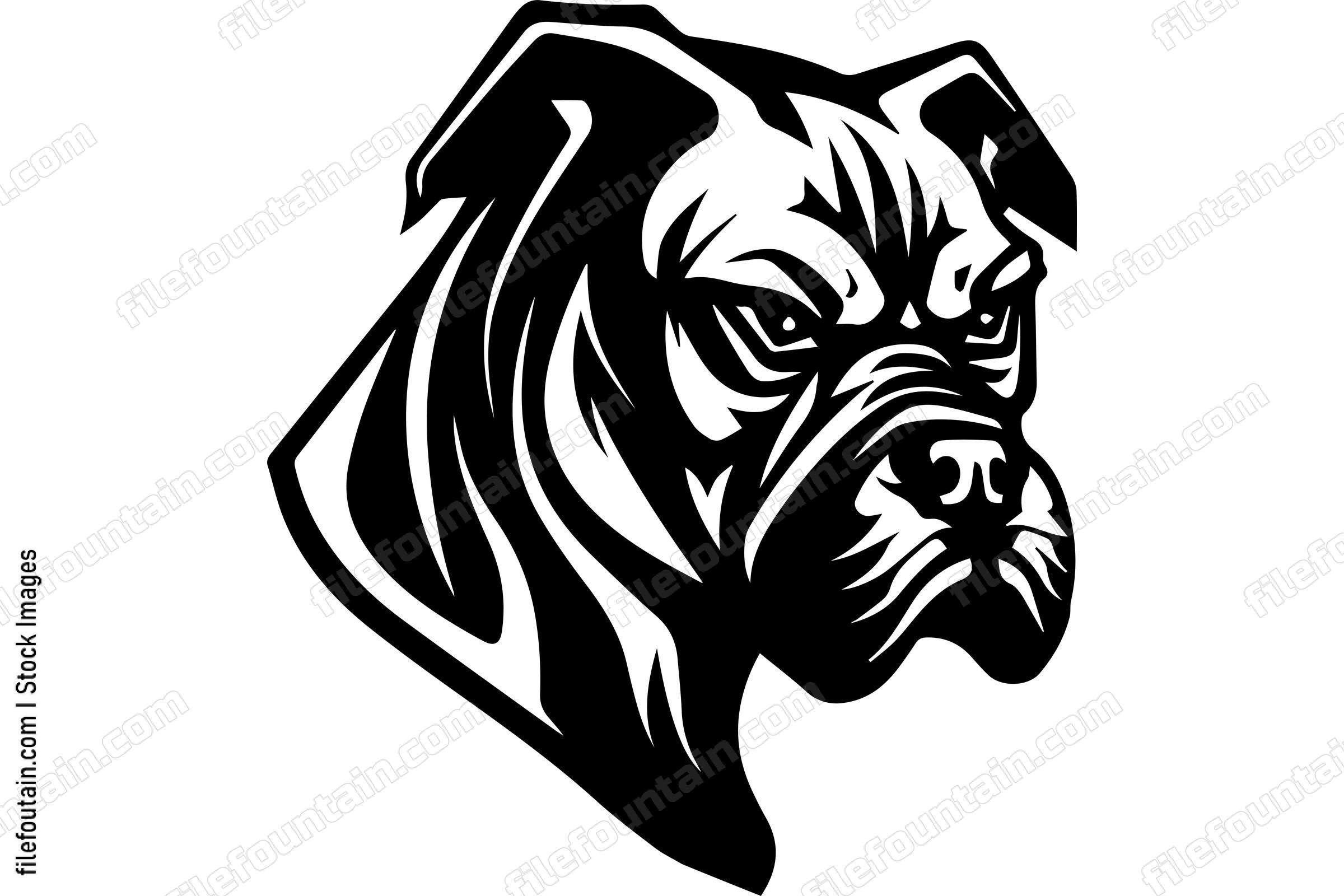 Boxer