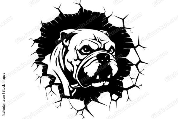 Bulldog Breaking Through A Wall