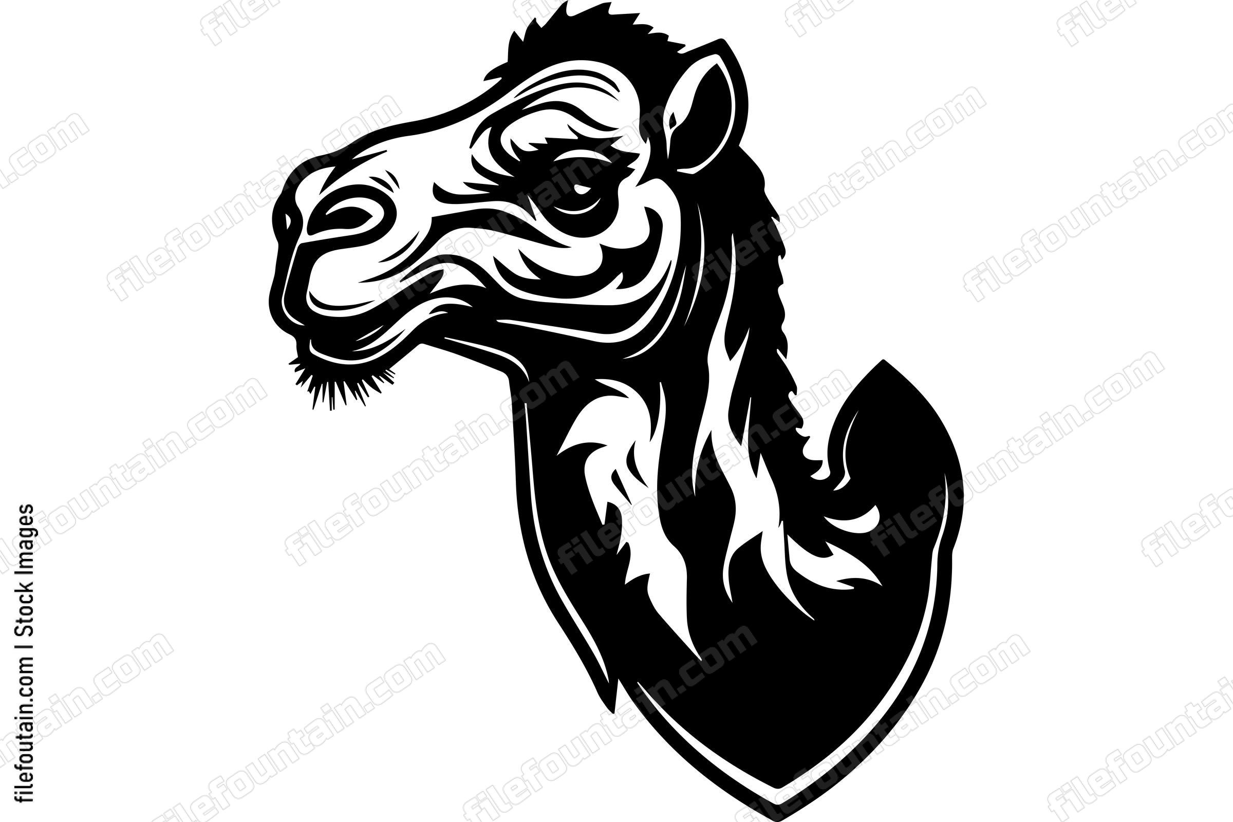 Camel
