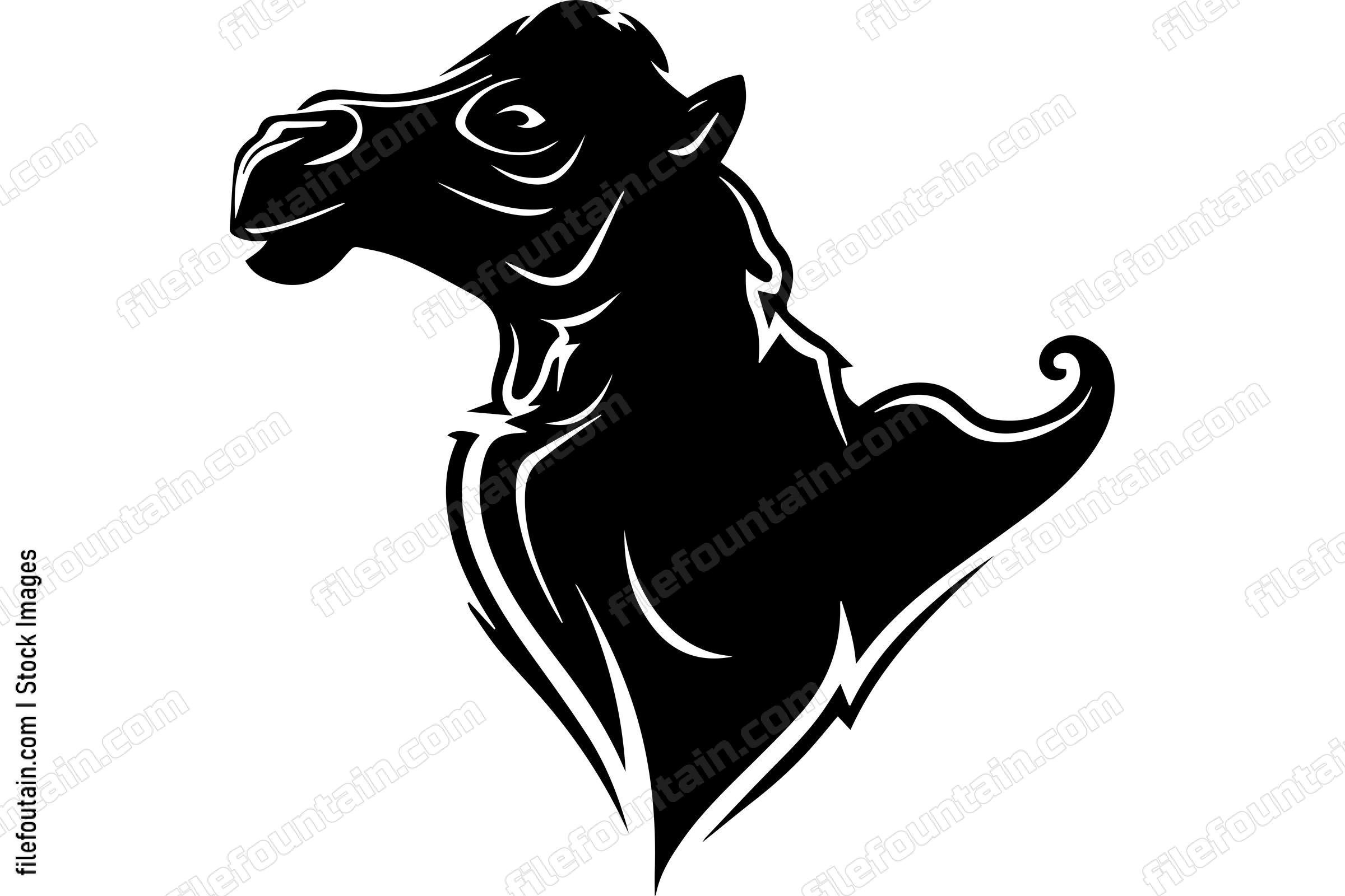 Camel
