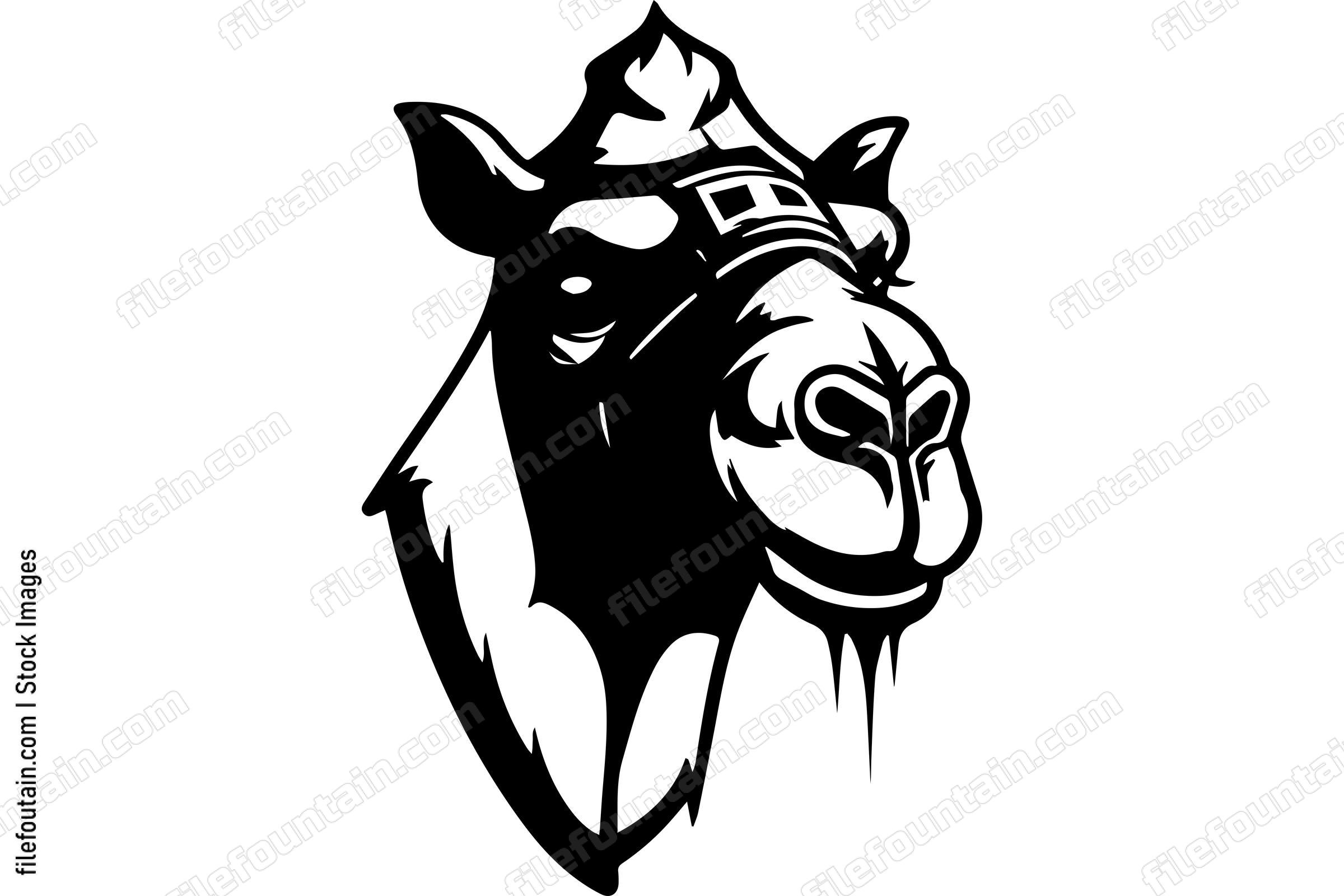 Camel