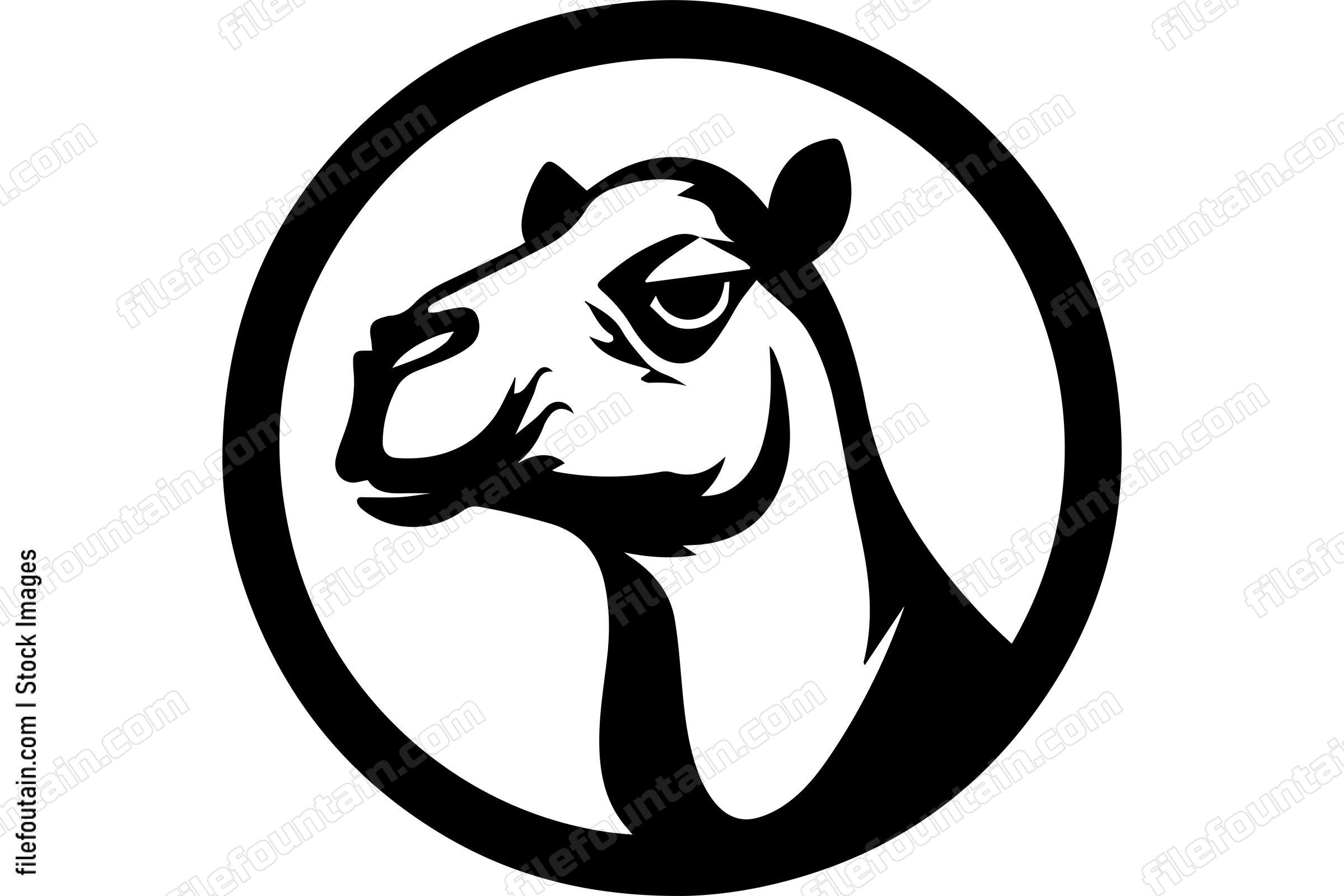 Camel