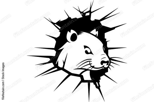 Capybara Breaking Through A Wall