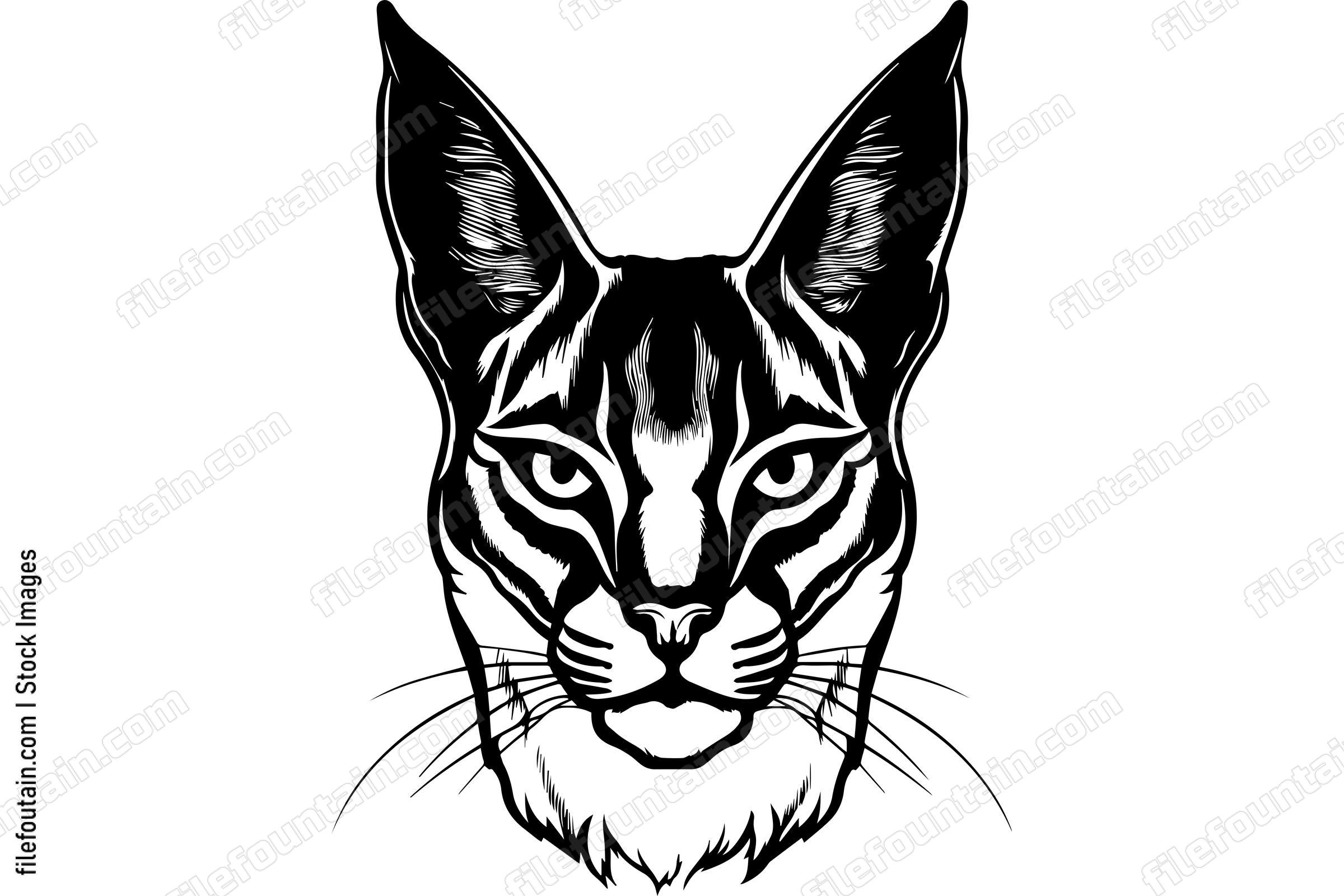 Caracal