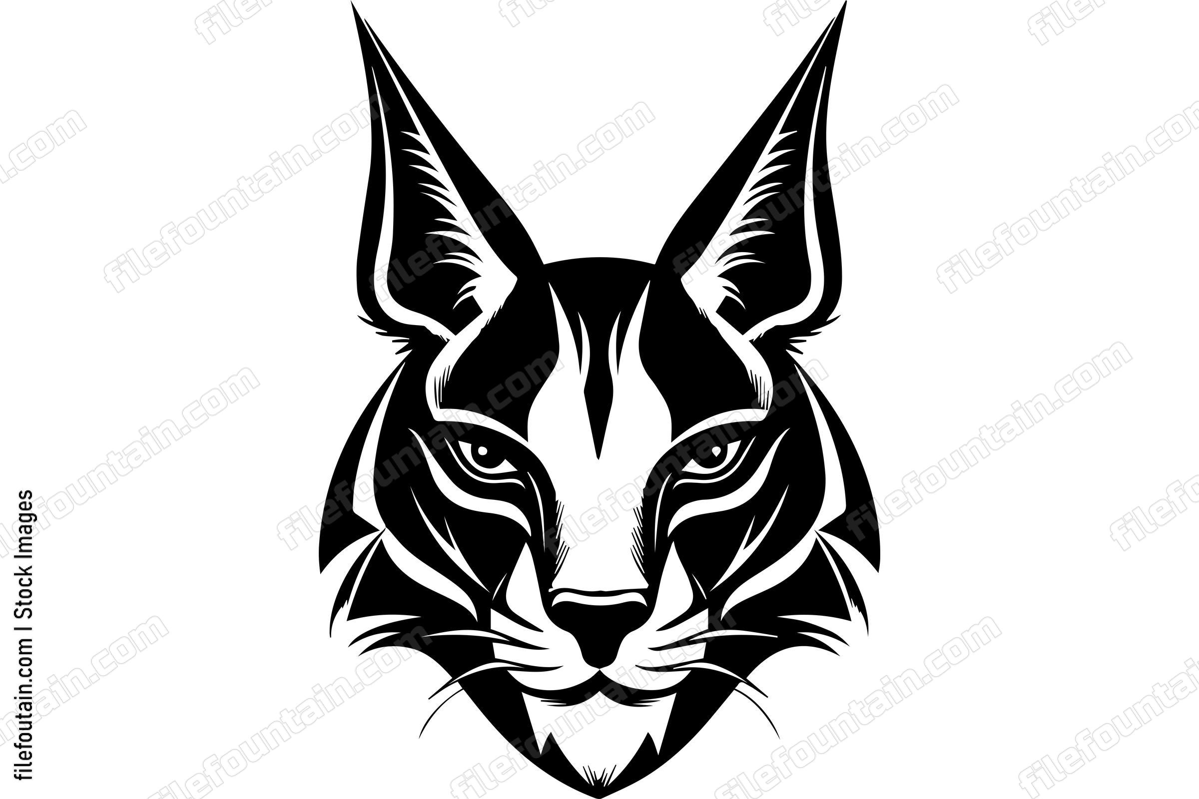 Caracal