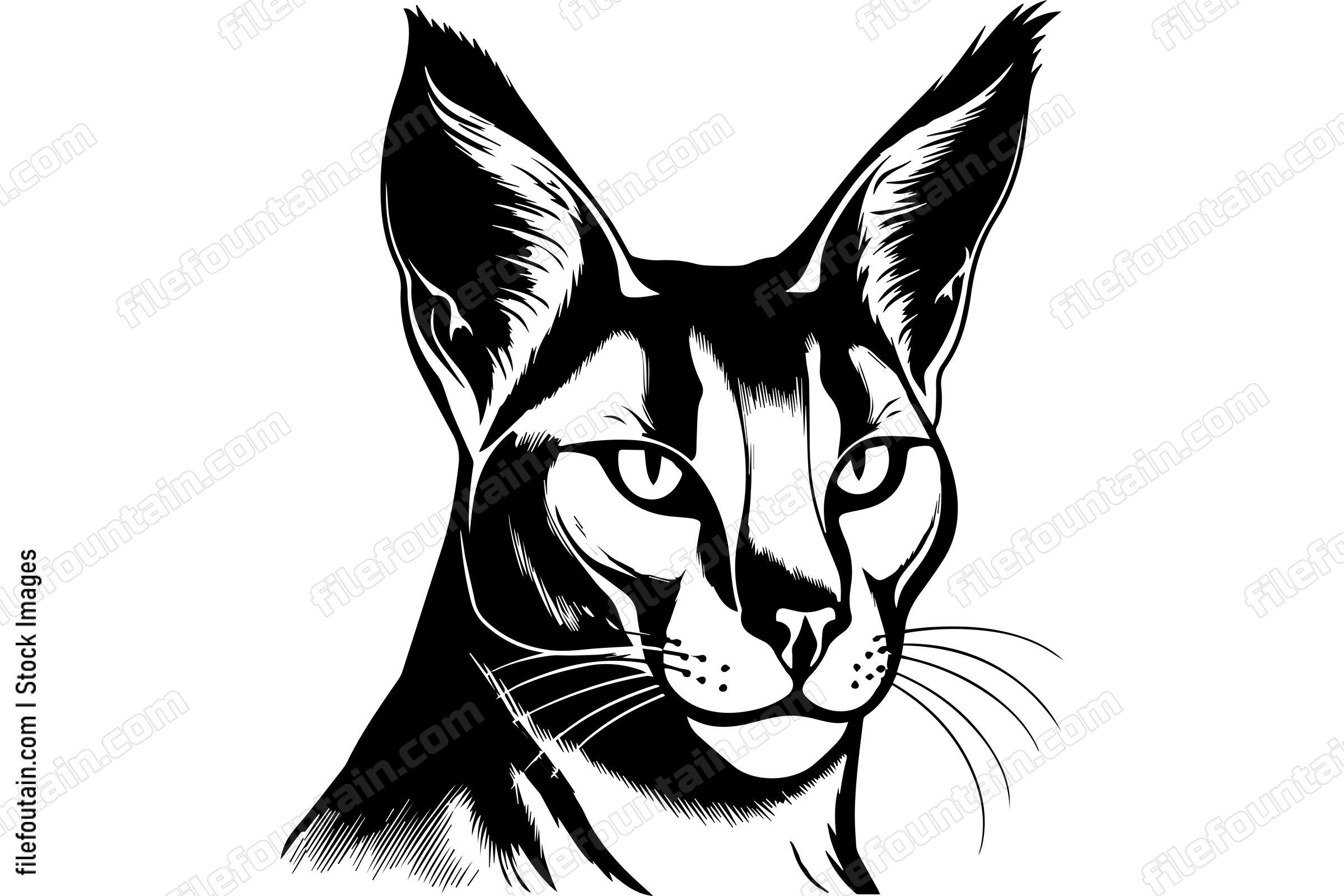 Caracal
