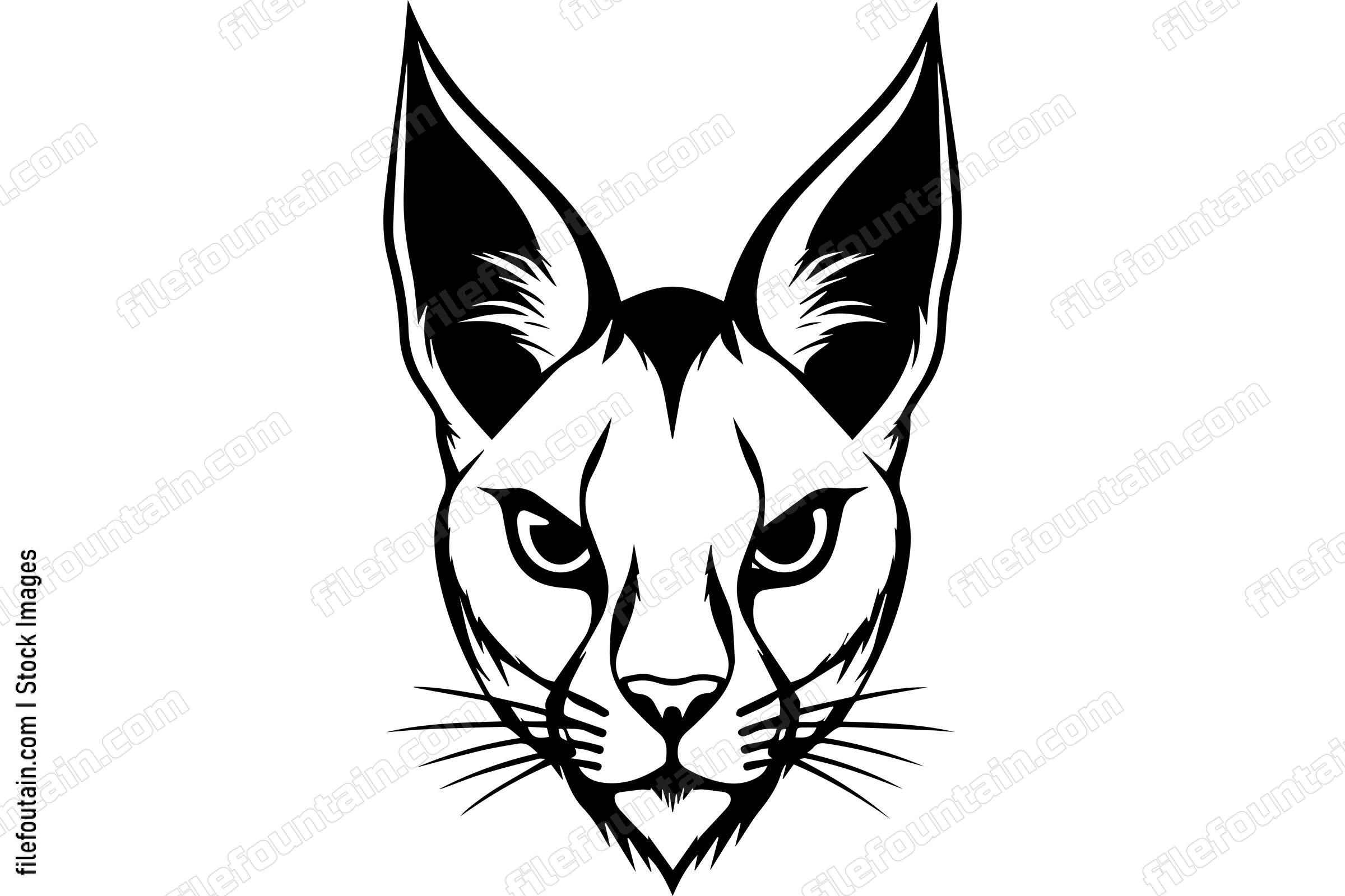 Caracal