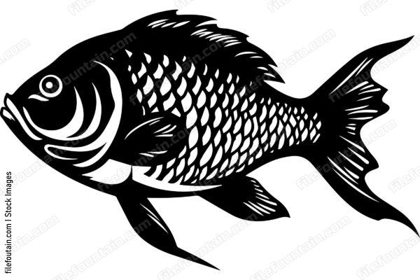 Carp
