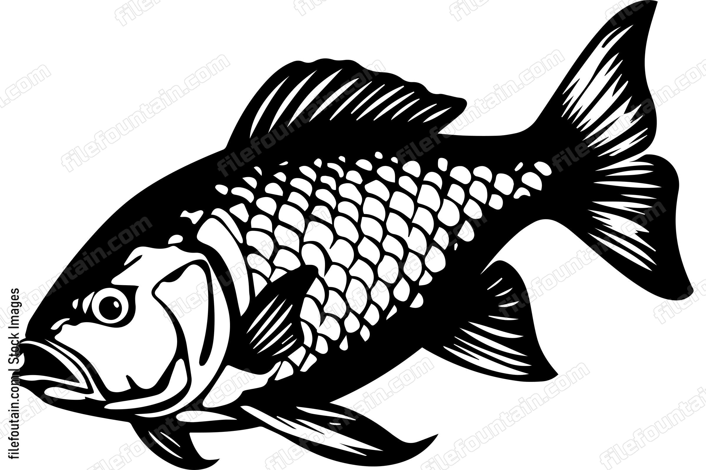 Carp