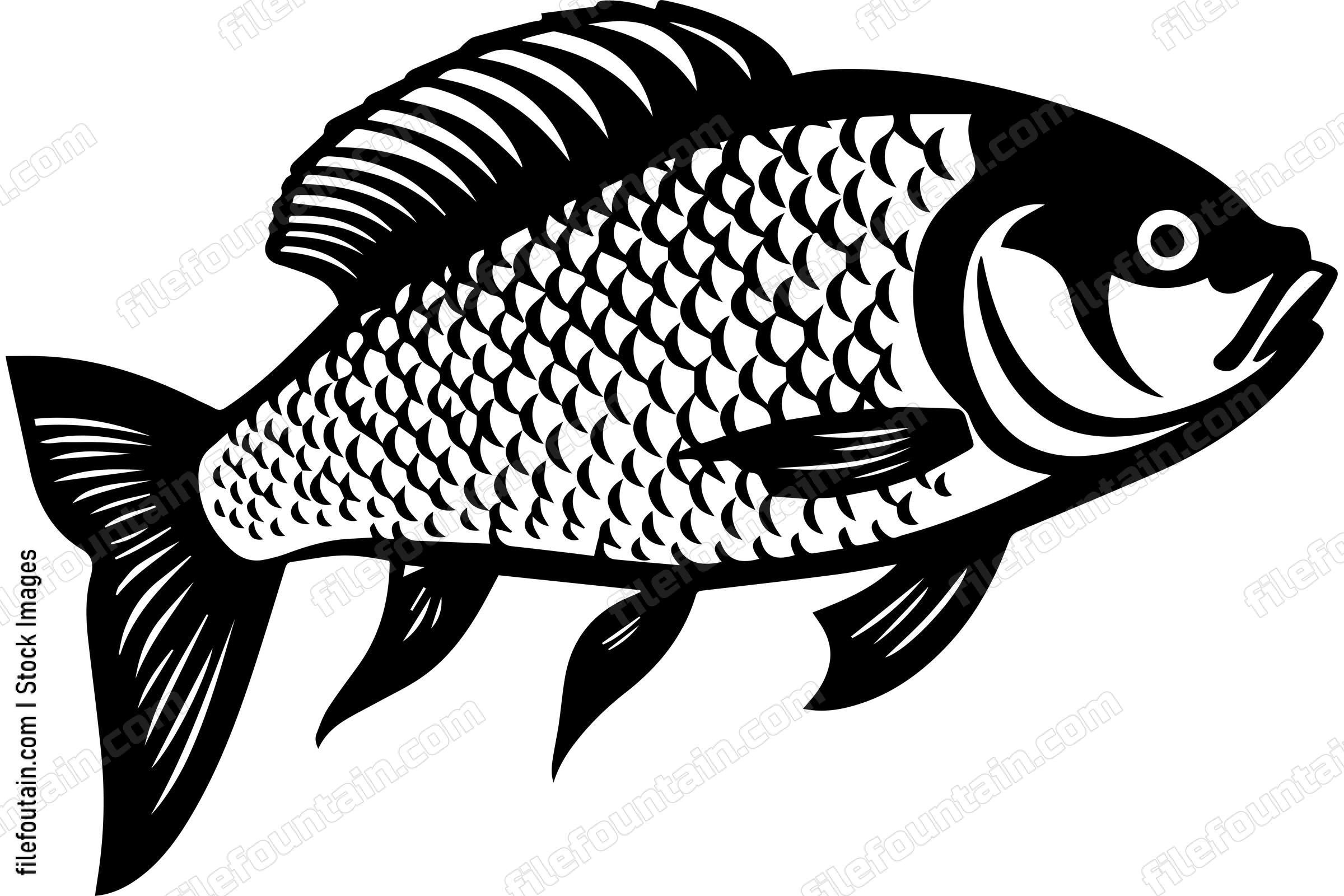 Carp