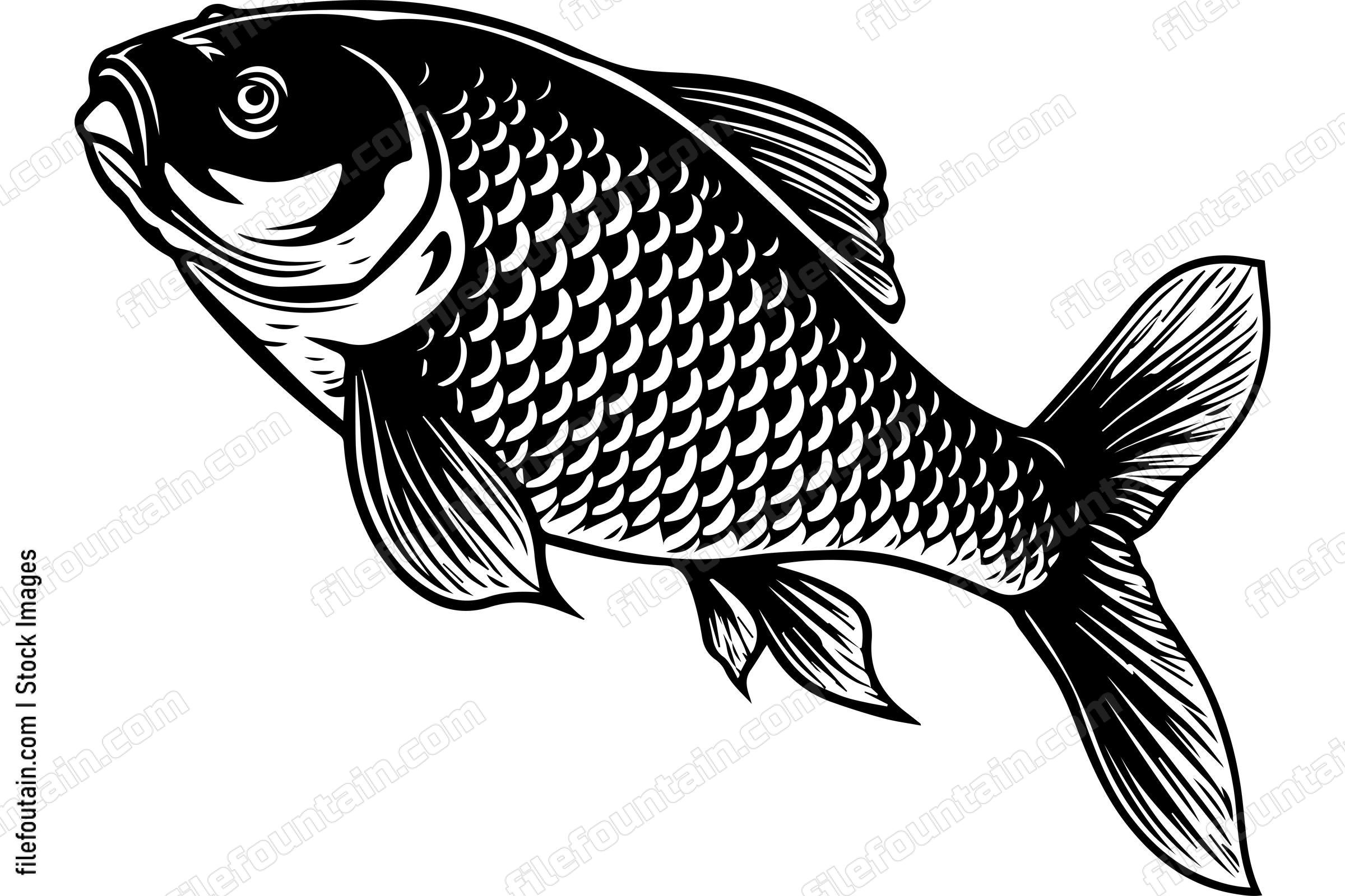 Carp