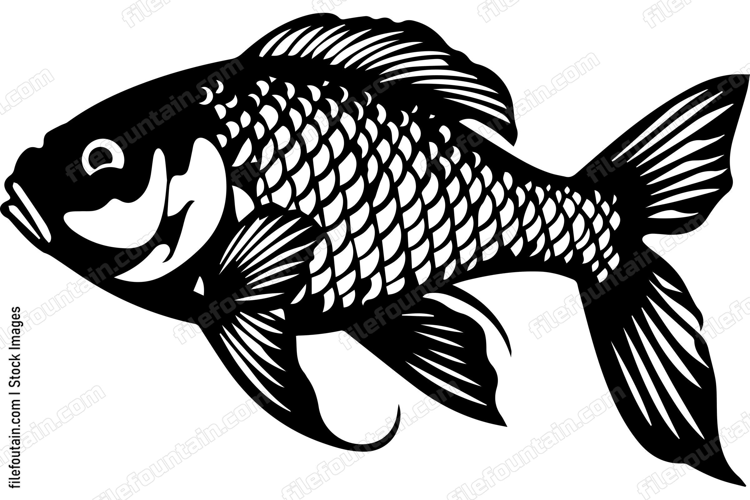 Carp